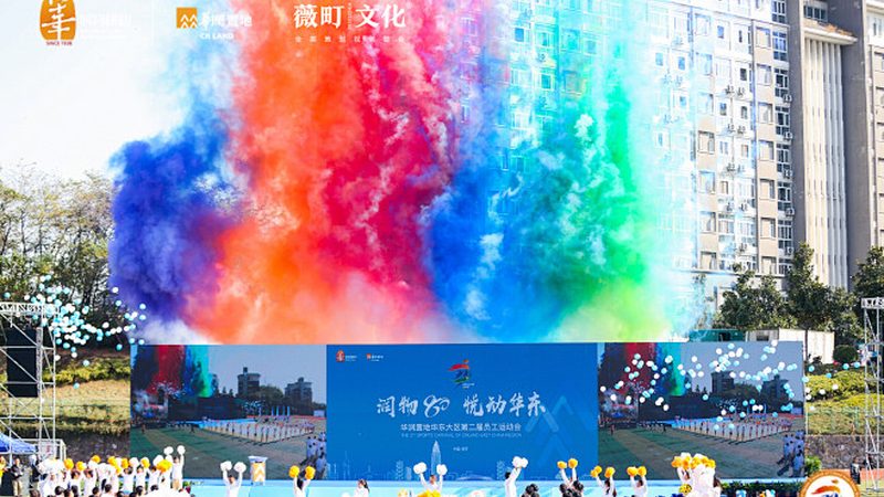 施工动画制作：揭秘其制作流程与关键要点